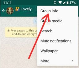 A WhatsApp Group új funkcióinak használata az Android telefonon